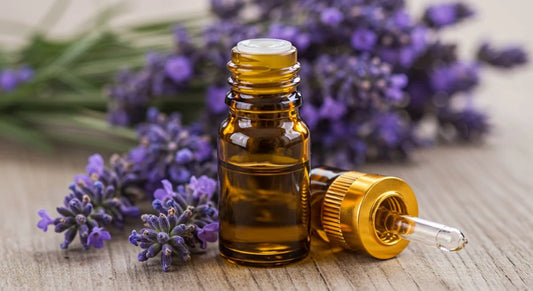 Lavender organic fragrance oil in an amber bottle, surrounded by fresh lavender flowers.